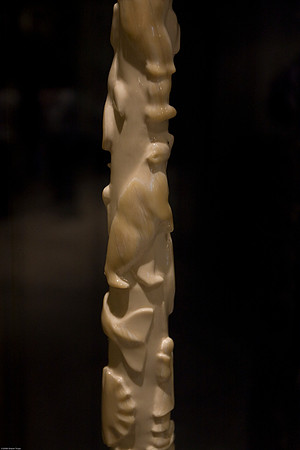 Narwhal Tusk