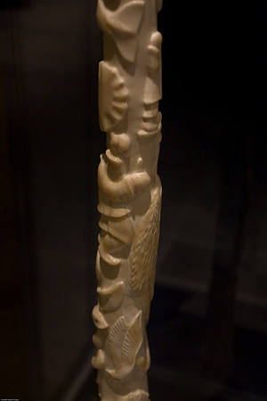 Narwhal Tusk